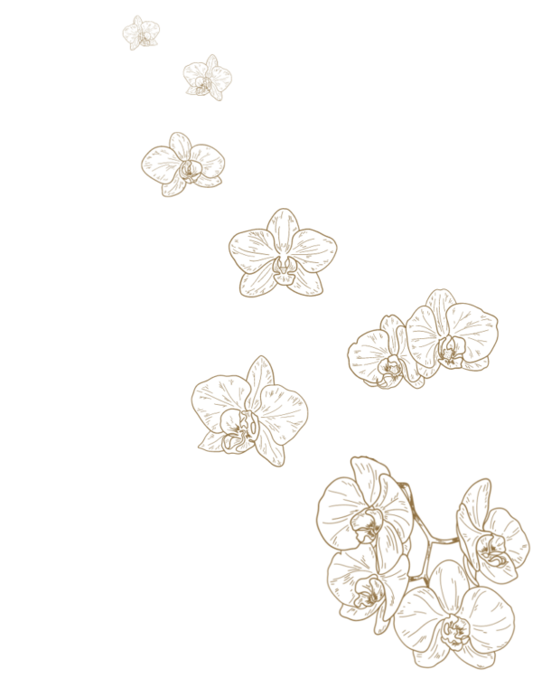 Gezeichnete goldfarbene Orchideen